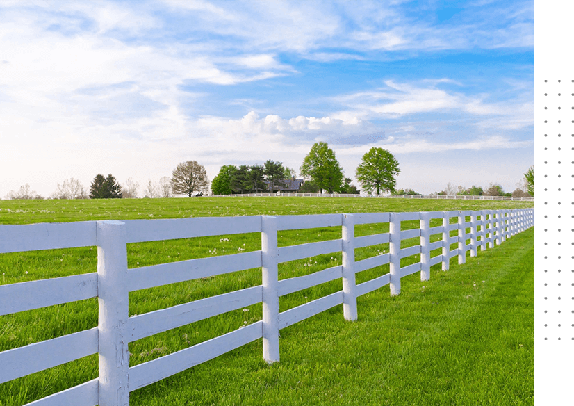 White Fencing on the Green Lawn